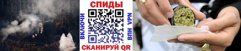 гидра tor  Новомичуринск  БУТИРАТ BDO 