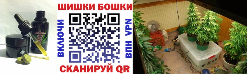 Cannafood марихуана  закладка  Новомичуринск 