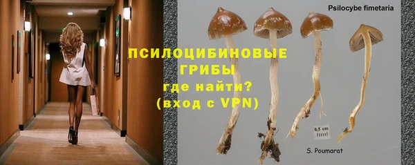 дживик Балабаново
