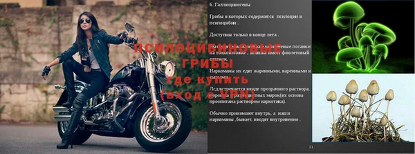 СК Баксан