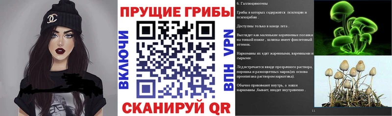 Галлюциногенные грибы GOLDEN TEACHER  где продают наркотики  это как зайти  Новомичуринск 
